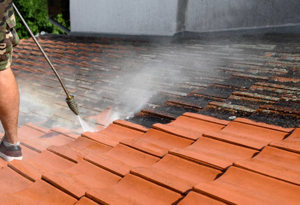 Best Fence Pressure Washing  in Panhandle, TX
