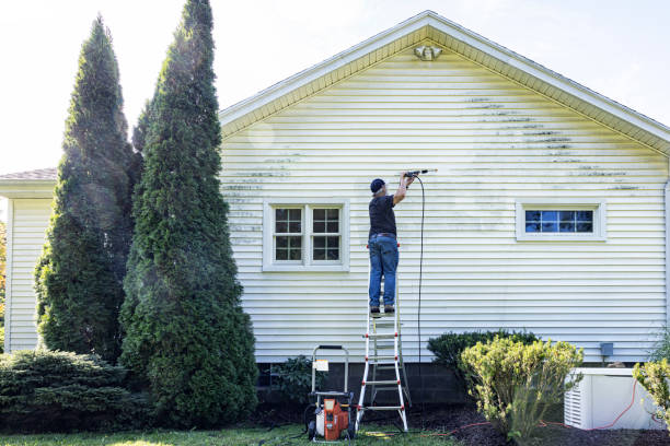 Best Local Pressure Washing Services  in Panhandle, TX