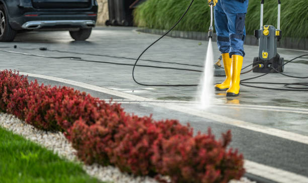 Best Pressure Washing Company Near Me  in Panhandle, TX